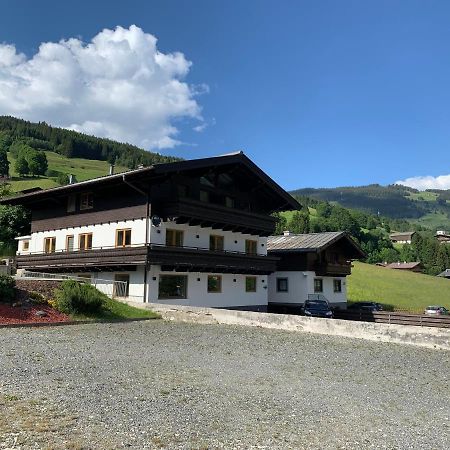 Glemm Lodge Apartments - Joker Card Im Sommer Inklusive Saalbach-Hinterglemm Exterior foto