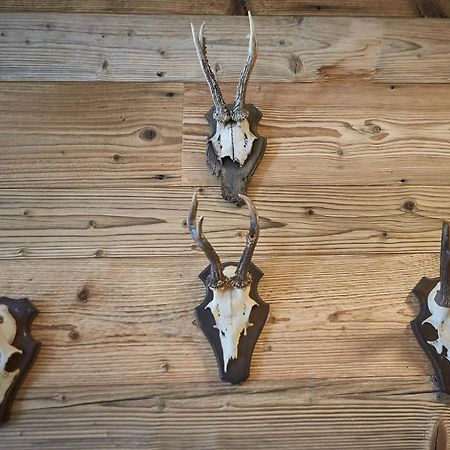 Glemm Lodge Apartments - Joker Card Im Sommer Inklusive Saalbach-Hinterglemm Exterior foto